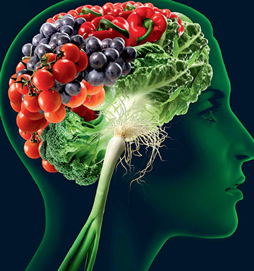 Brain made of food in human head