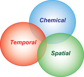 Venn Diagram of Chemical, Structural, and Temporal