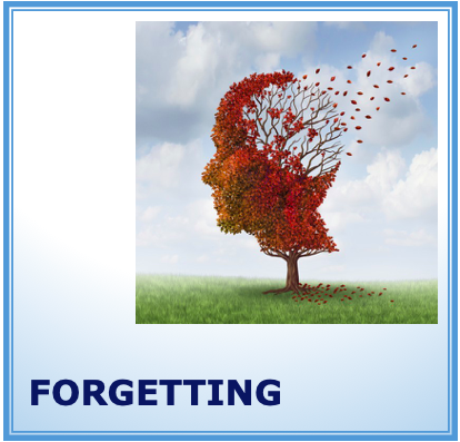 Forgetting with a head-shaped tree's leaves are blown away