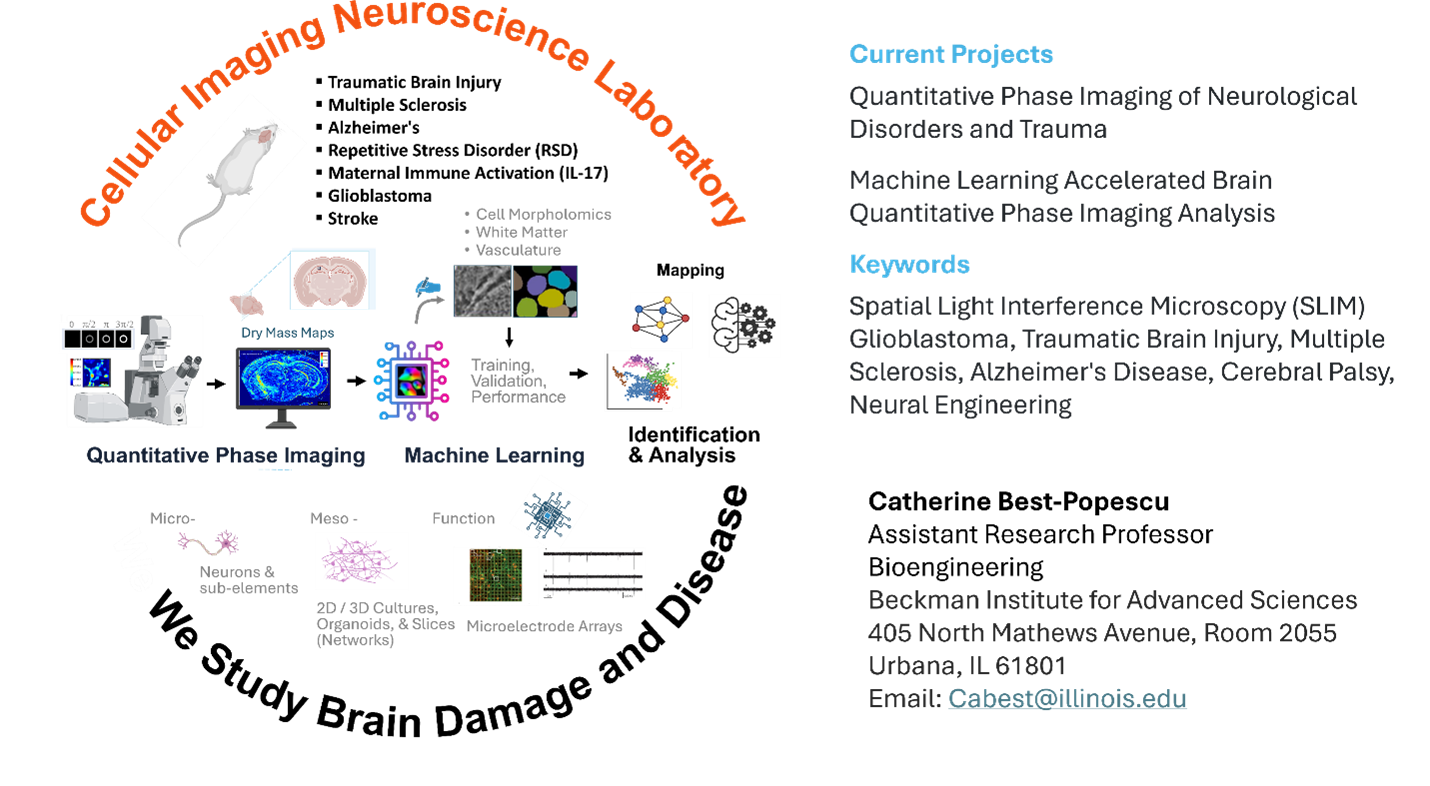 Cellular neuroscience imaging lab