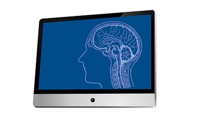 Human Head on a computer scree