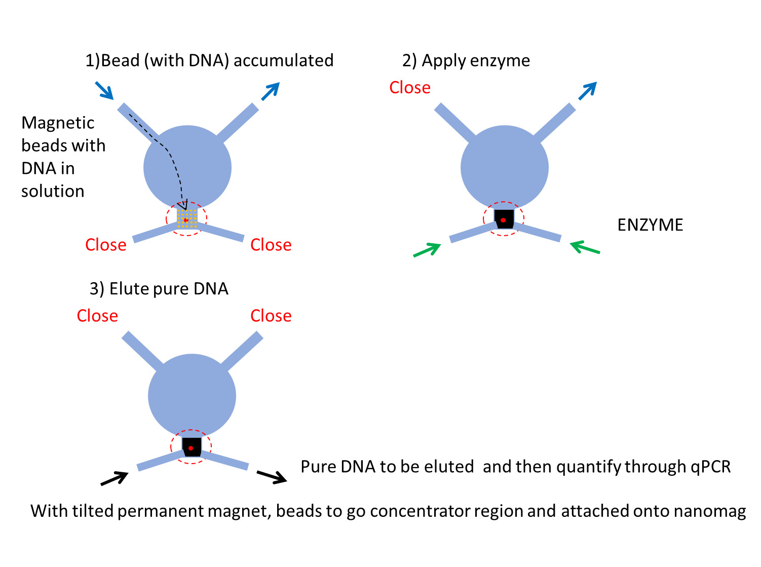 Fig. DNA concentration on a chip using nanomagnets.