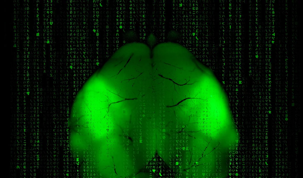 Green Brain with matrix lines in background