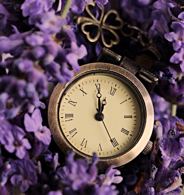 Pocket Watch with flower background