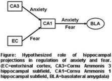 Fear and anxiety regulations