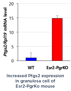 Chart of PTGS2 Expression