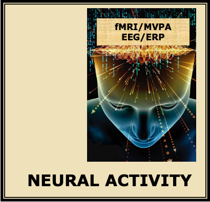 Neural Activity and a pic from the galaxy brain meme