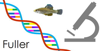 Fuller lab logo