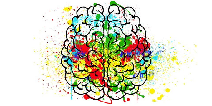 Brain_Mischkowski