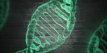 Graffitti DNA