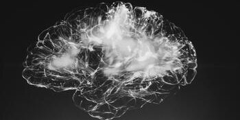 smokey brain