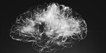 smokey brain