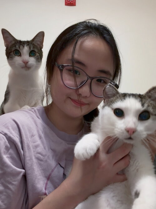 Yuanyuan (Krystal) Cheng