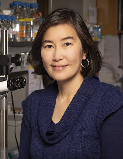 Profile picture for Hee Jung Chung