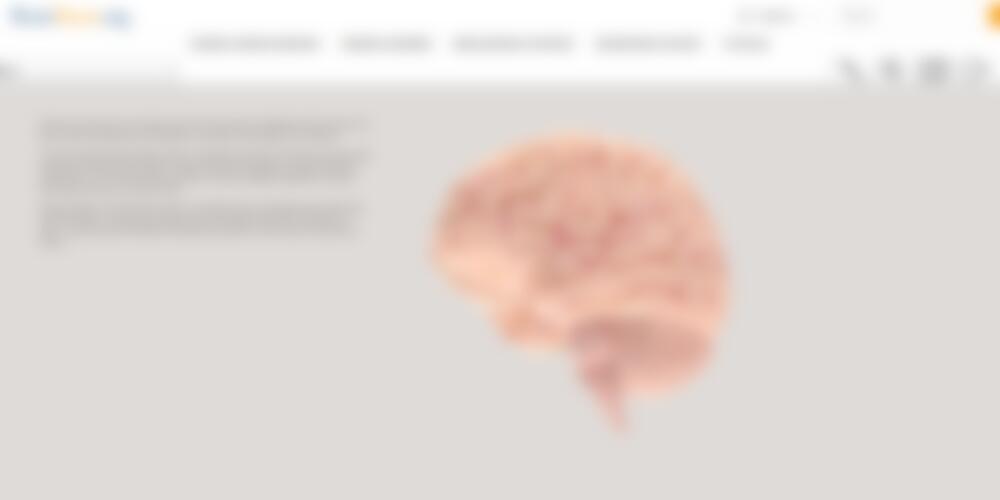 Interactive Brain Model