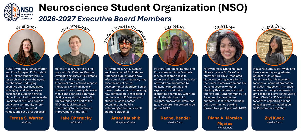 Images of NSO Board Members