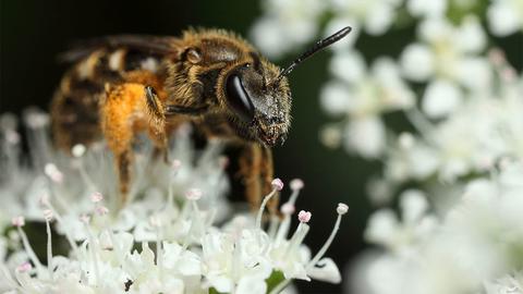 Science Bee Photo