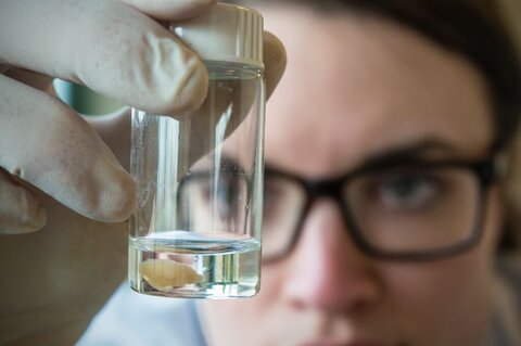 student looking into beaker