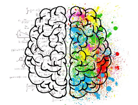 colorful brain illustration of right vs left