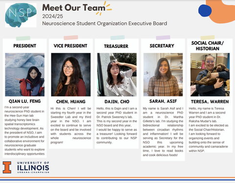 Meet the NSO Team