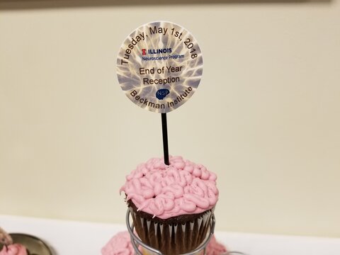 Brain Cupcake