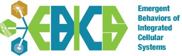 EBICS Logo