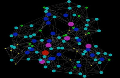 neural network