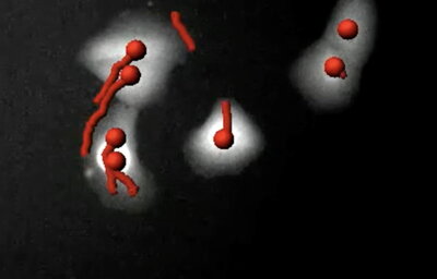Live Cell Imaging