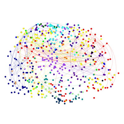 Brain Image
