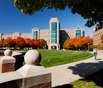Beckman in the Fall