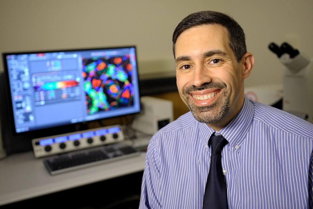 NSP Faculty Member, Daniel Llano, Associate Professor, Molecular and Integrative Physiology Dan Llano