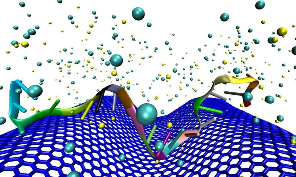 Crumpled Graphene