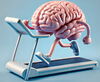 Running brain on treadmill