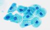 Cells