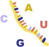 RNA Illustration 