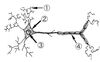 Neuron Diagram