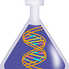 DNA in a Conical Flask
