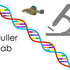 Fuller Lab, DNA Stain, a mircoscope, and a killifish