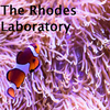 Clownfish with Rhodes Lab text on top of it