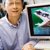 Albert Feng_frog