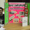 Eat a Neuron