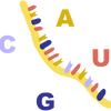 RNA Illustration 