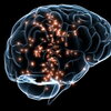 Graphic of Neural Activity in the Brain
