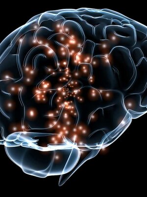 Graphic of Neural Activity in the Brain