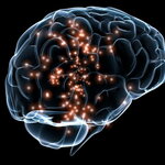 Graphic of Neural Activity in the Brain