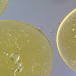 Lipid-Containing Oil
